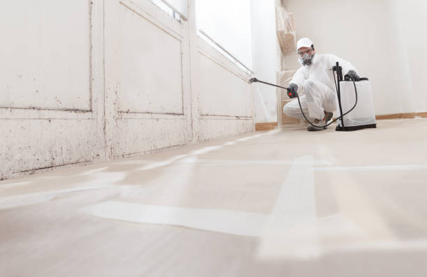 24/7 Emergency Mold Remediation experts in Fayetteville, NY